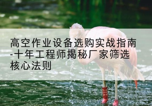城中剪叉式升降机厂家-高空作业设备选购实战指南-十年工程师揭秘厂家筛选核心法则